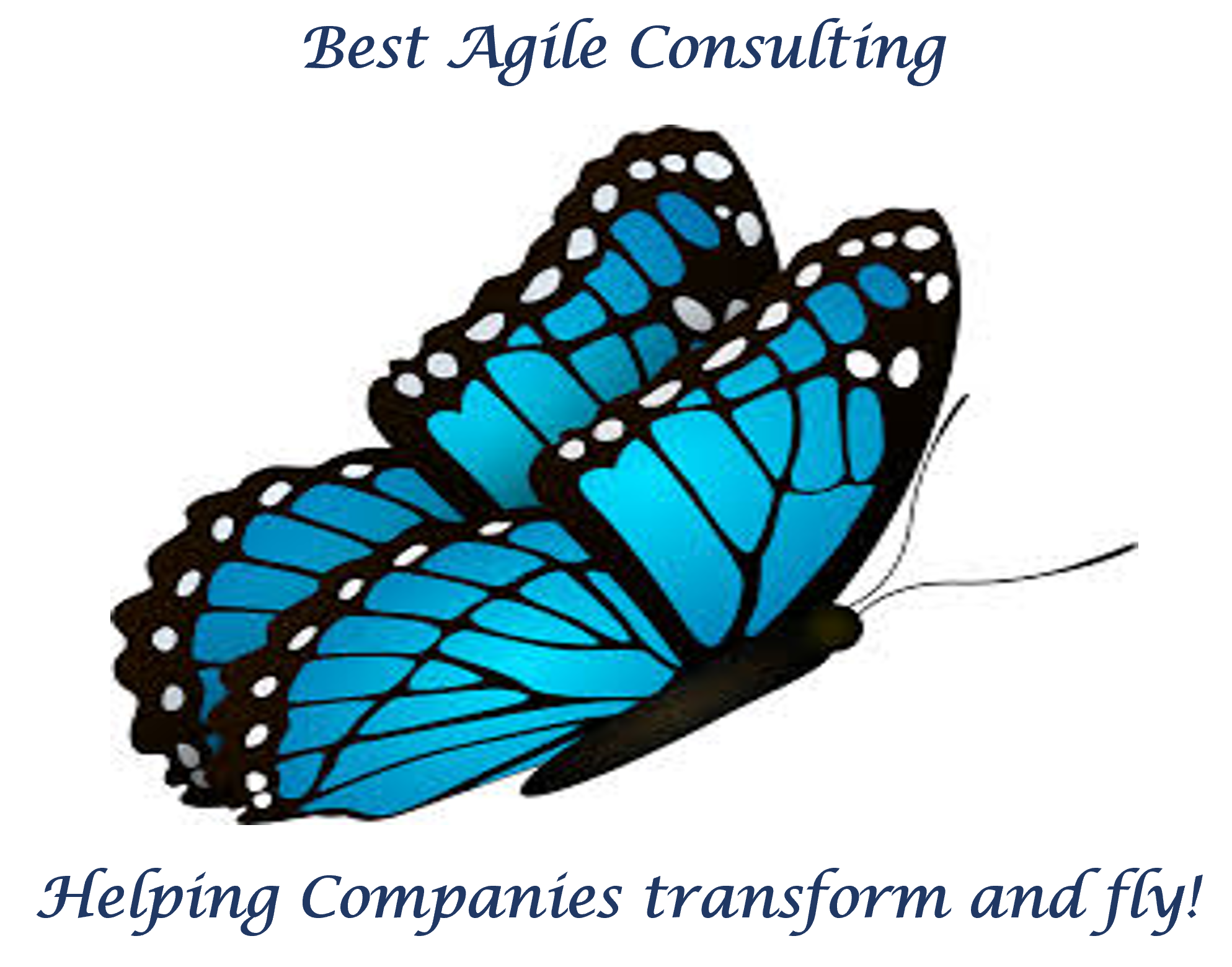 Best agile consulting